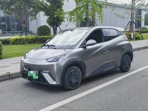BYD Seagull 2024