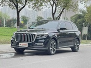 Hongqi HS7 2021