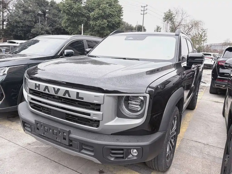 Haval Big Dog