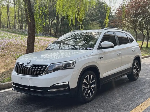 Skoda Kamiq 2019