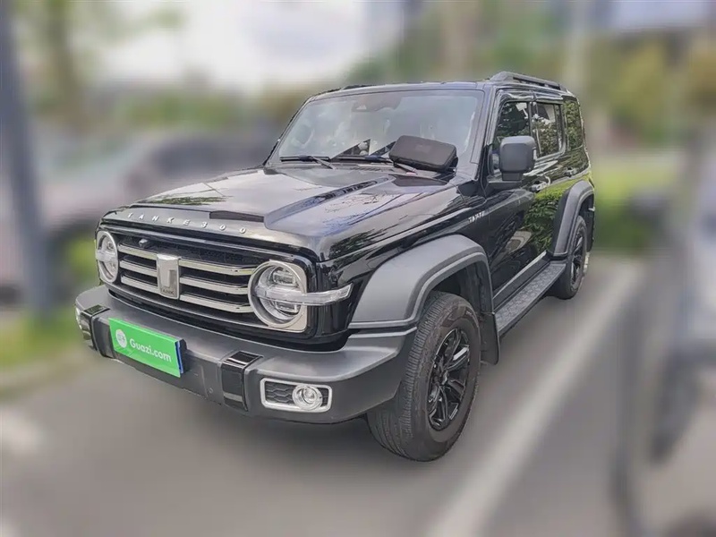 Tank 300