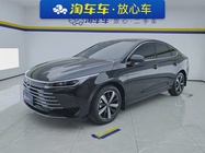 BYD Destroyer 2024