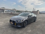 GAC Shadow Leopard 2023