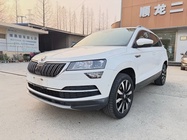 Skoda Karoq 2019