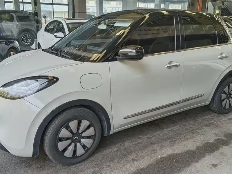 Wuling Bingo