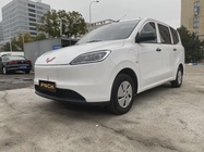 Wuling Hongguang 2024