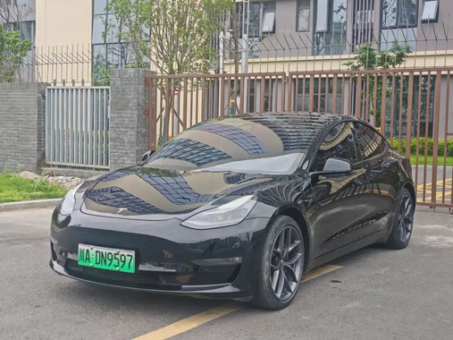 Tesla Model 3 2021
