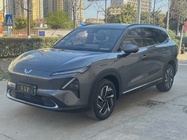 Wuling Xingguang 2024