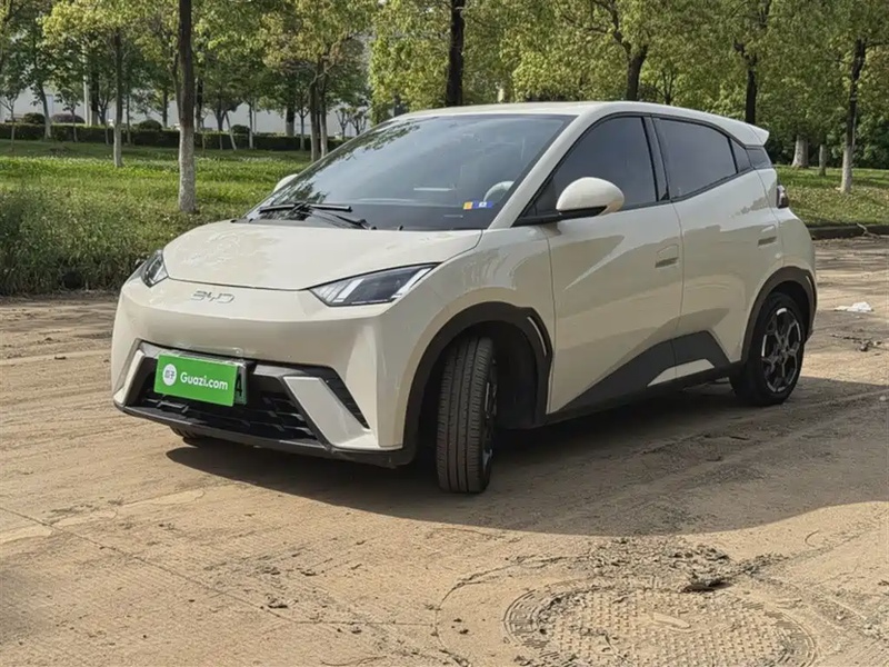 BYD Seagull