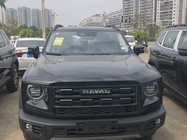 Haval Big Dog 2025