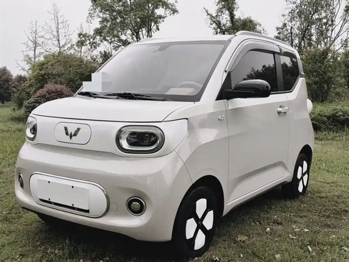 Wuling Mini 2024