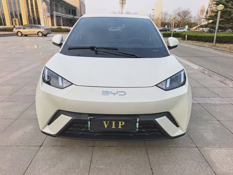BYD Seagull