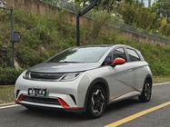 BYD Dolphin 2021