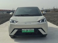 BYD Seagull 2025