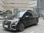 Mercedes-Benz V-Class 2021