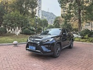 Toyota Wildlander 2024