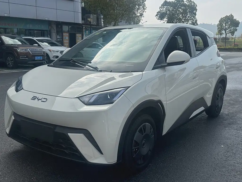 BYD Seagull