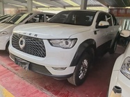 Great Wall Pao 2021