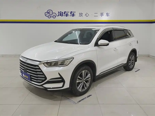 BYD Pro 2021