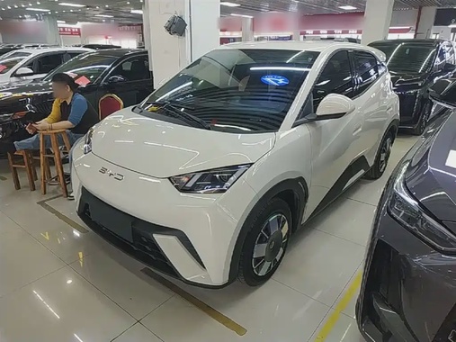 BYD Seagull 2024