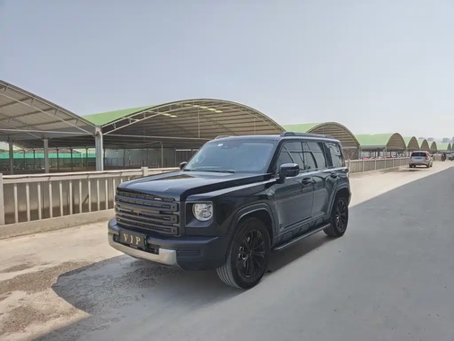 Haval Menglong 2024