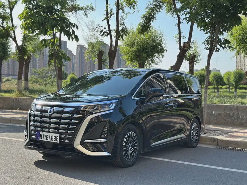 Denza D9