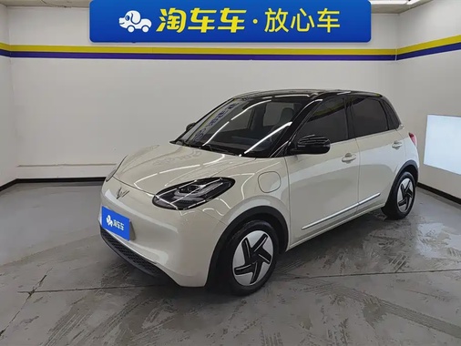 Wuling Bingo 2024