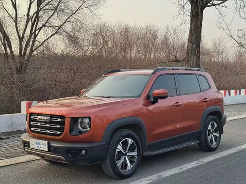Haval Big Dog 2020