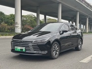 BYD Destroyer 2024