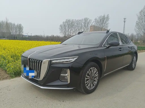 Hongqi H5 2025