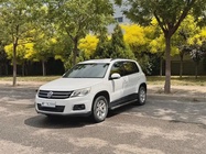 Volkswagen Tiguan 2010