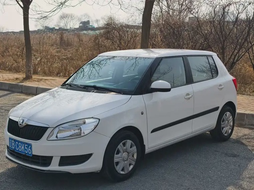 Skoda Fabia 2014
