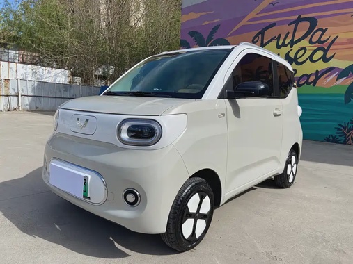 Wuling Mini 2024