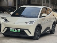 BYD Seagull 2024
