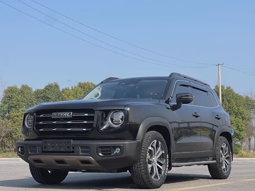 Haval Big Dog 2021