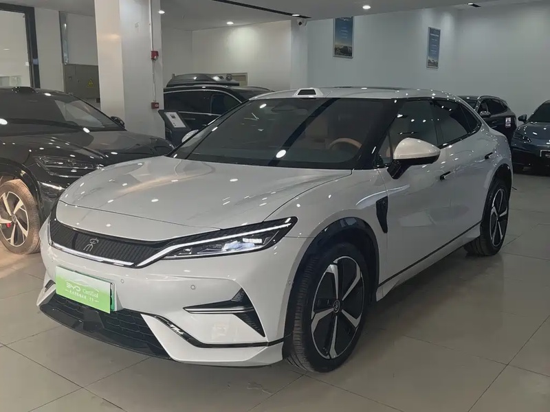 BYD L