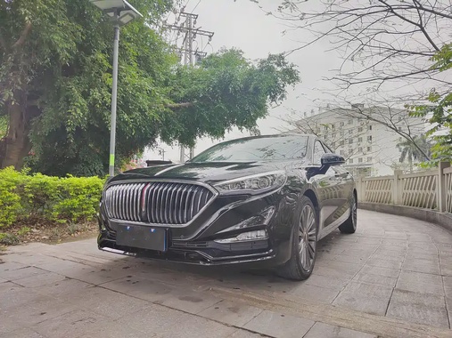 Hongqi H5 2020