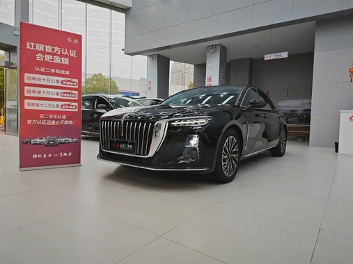 Hongqi H5 2024