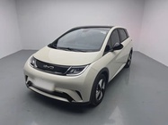 BYD Dolphin 2024