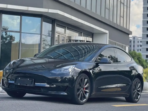 Tesla Model 3 2021
