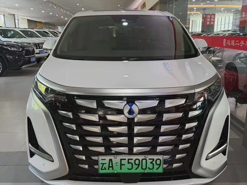 Denza D9