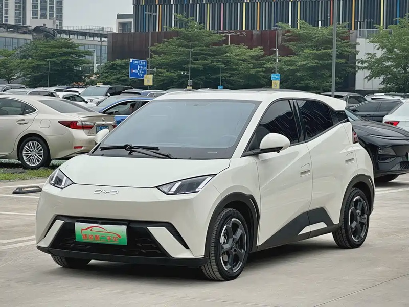 BYD Seagull