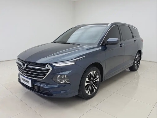Wuling Victory 2022