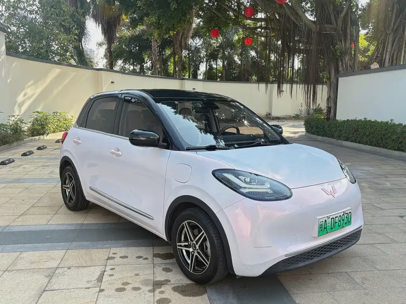 Wuling Bingo