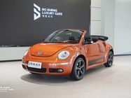 Volkswagen Beetle 2010