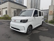 Wuling Zhiguang 2025