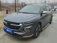 Wuling Victory 2021