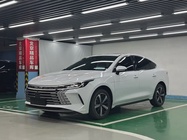 BYD Destroyer 2024