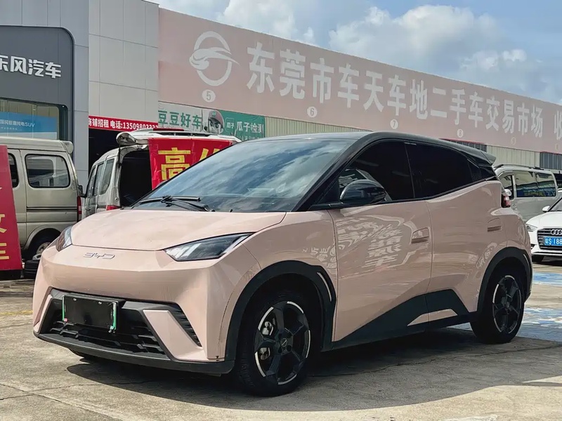 BYD Seagull