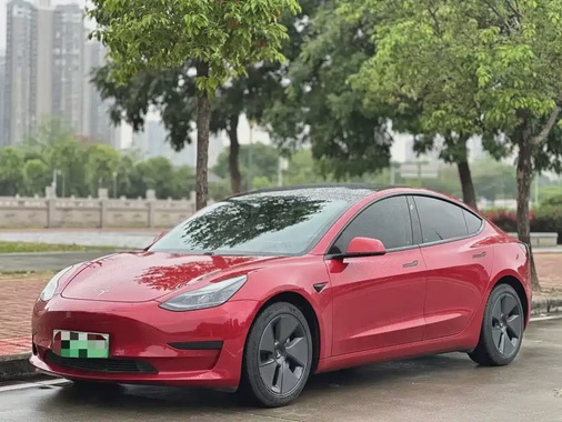 Tesla Model 3 2021